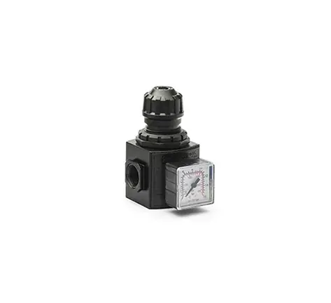 ani-filters-regulators-e-25-medium.jpg