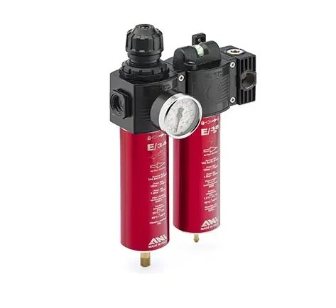 ani-filtri-regolatori-pressione-filters-regulators-e-32-c.jpg